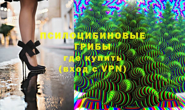 прущий лед Каменка