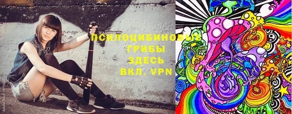 прущий лед Каменка