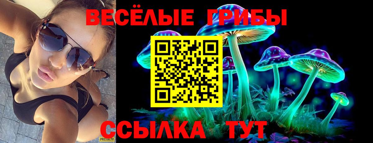 Камень-на-Оби  Галлюциногенные грибы мицелий  Вход с VPN 